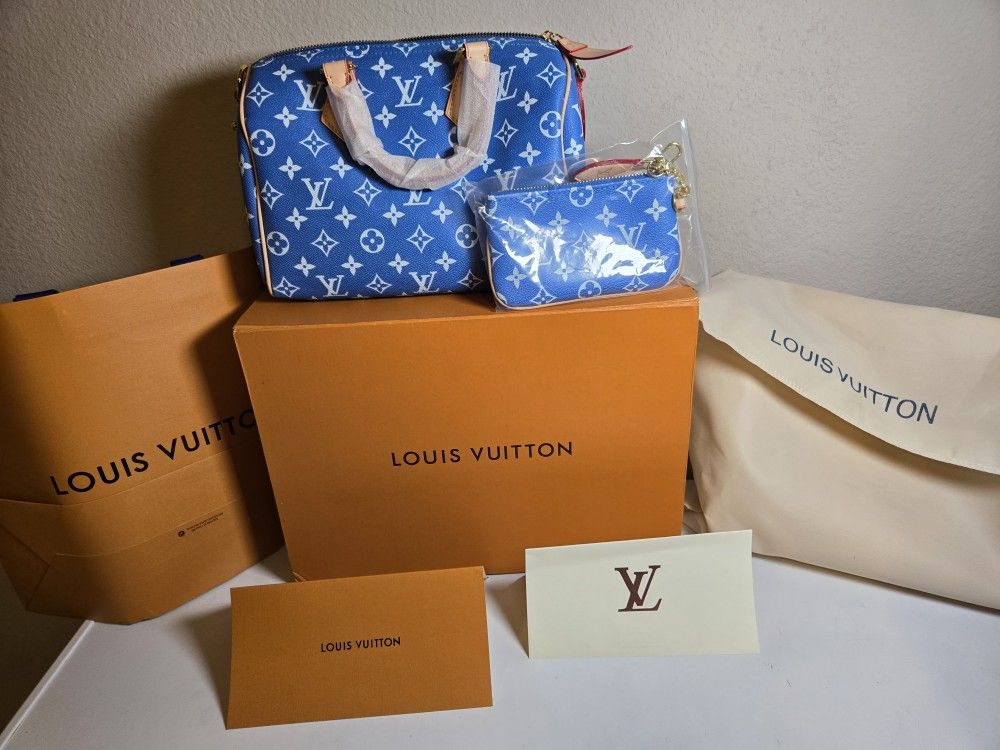 Luis VUITTON BAG