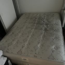 Free Queen Size Mattress And Box Spring With Bed Frame