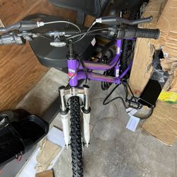 Mountain sport bike