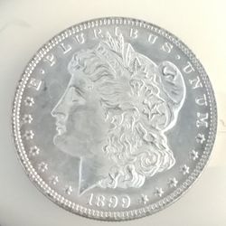 1899 Morgan Silver Dollar 