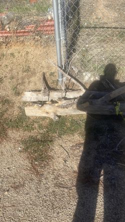 Free wood