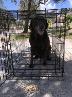 Large dog Crate / Cage. Foldable Dog Kennel (Good Boy Not Included **)