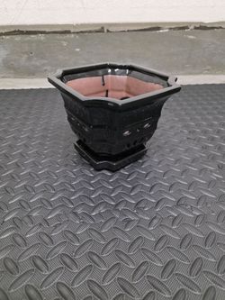 Plant Pot