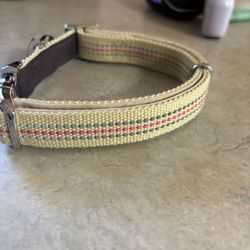 Small Dog Collar 