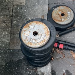 Weights 