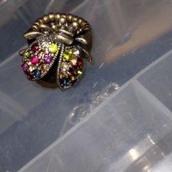 Lady Bug/Beetle Stretch Ring