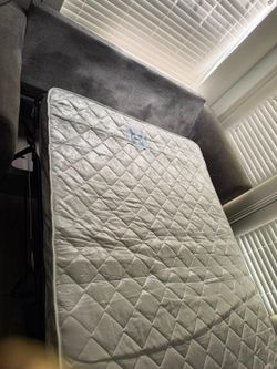 Sofa bed/sleeper