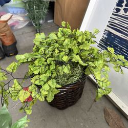 Artificial Plants 
