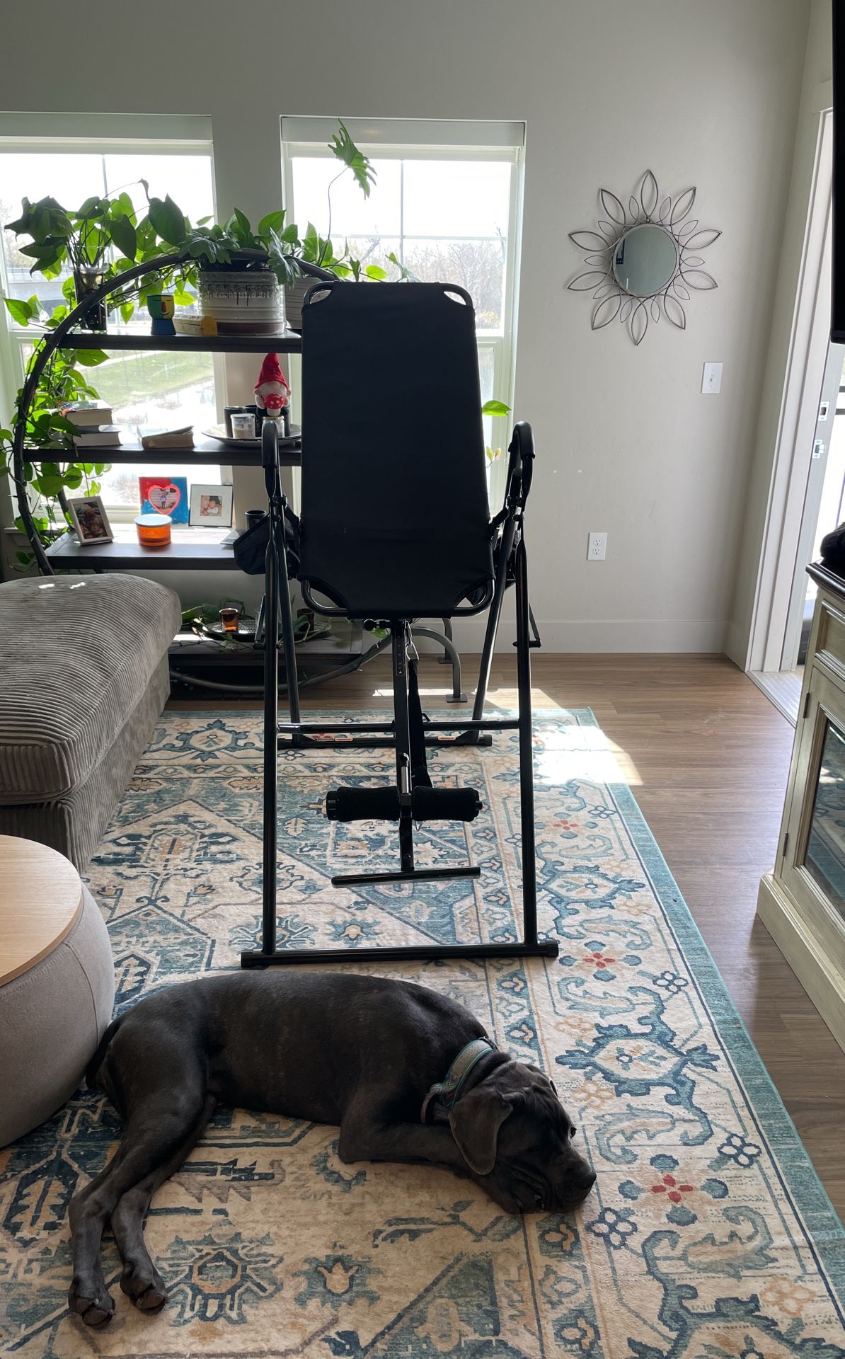 Inversion Table
