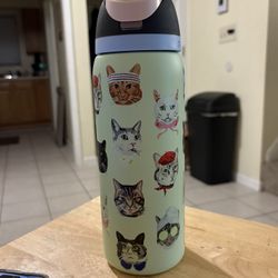 Urban Outfitters Exclusive Cat Owala