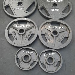 Olympic Weight Plates 