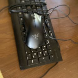 Lenova Keyboard And A Deathadder Mouse . All Working 