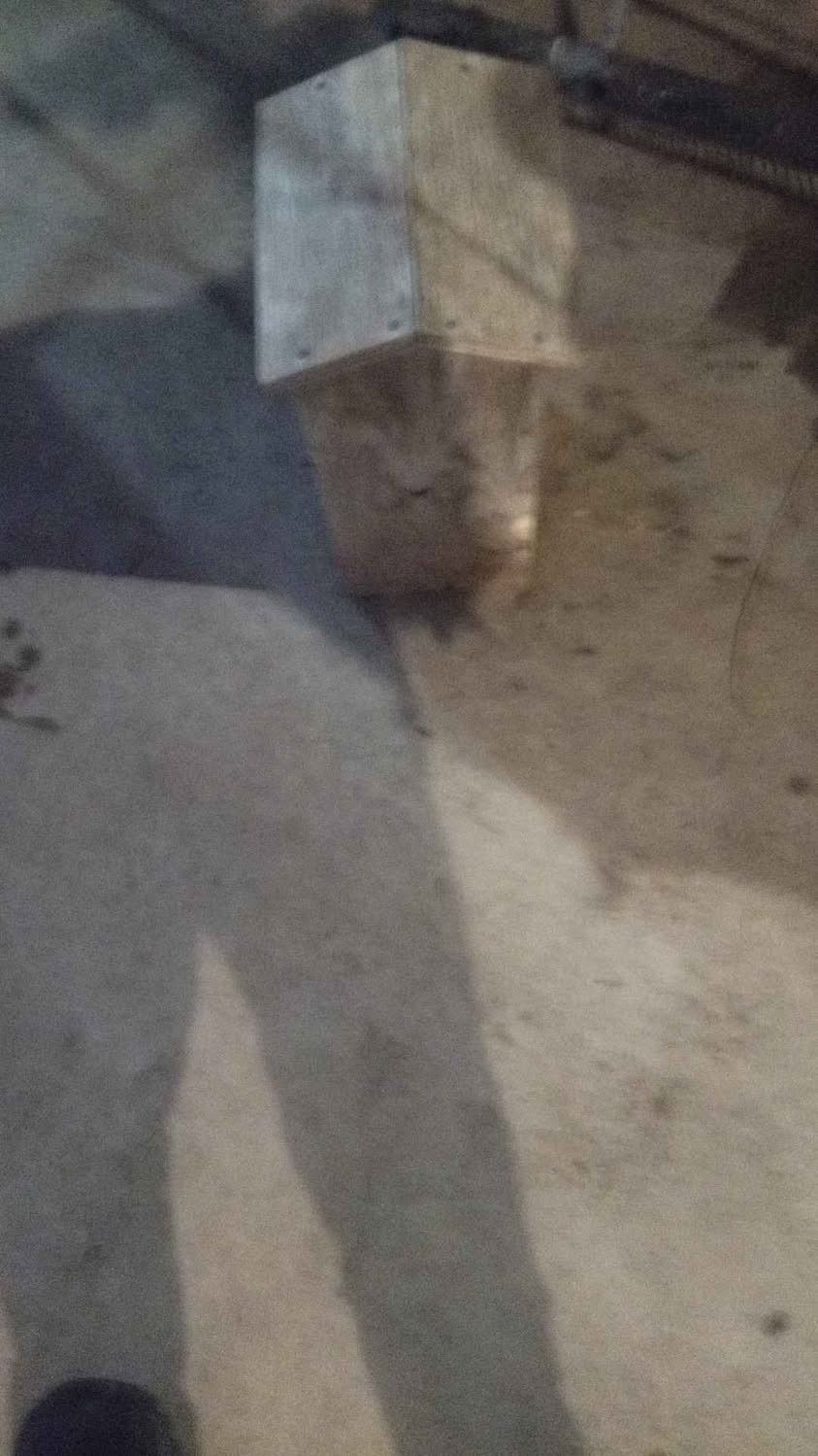 20 Different Size Bird Houses For $25 A Piece