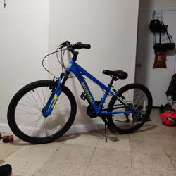 Nishiki Boys/Girls Mountain Bike 24"
