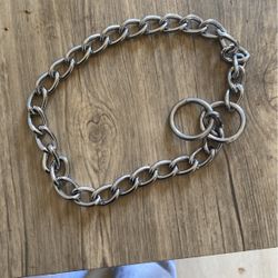Metal dog collar 