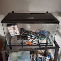 Fish Tank