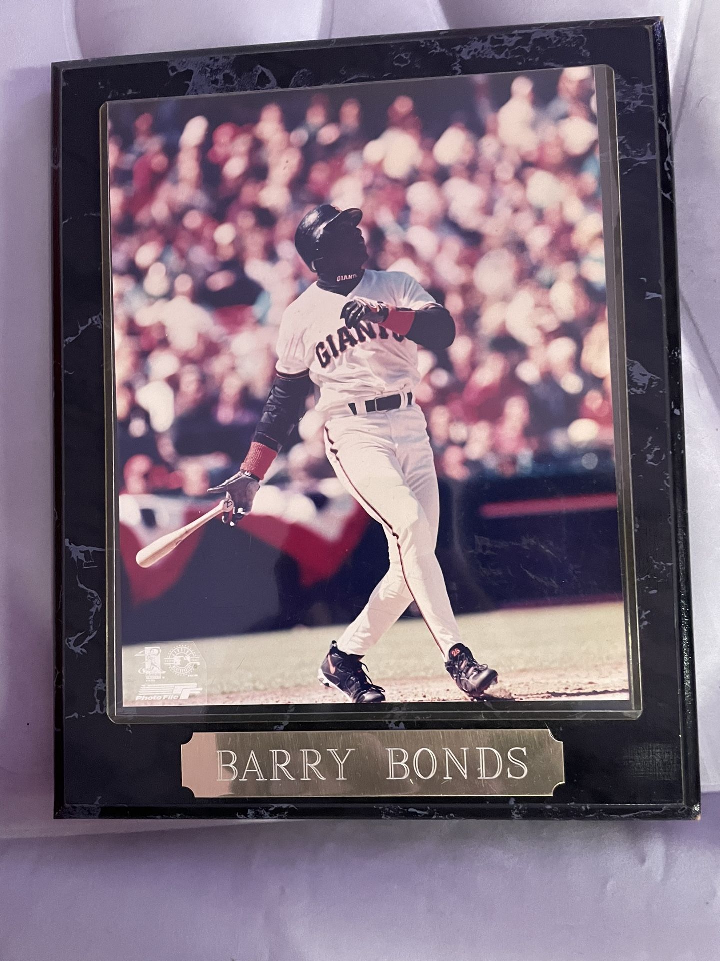 Barry Bonds Pic With Frame 