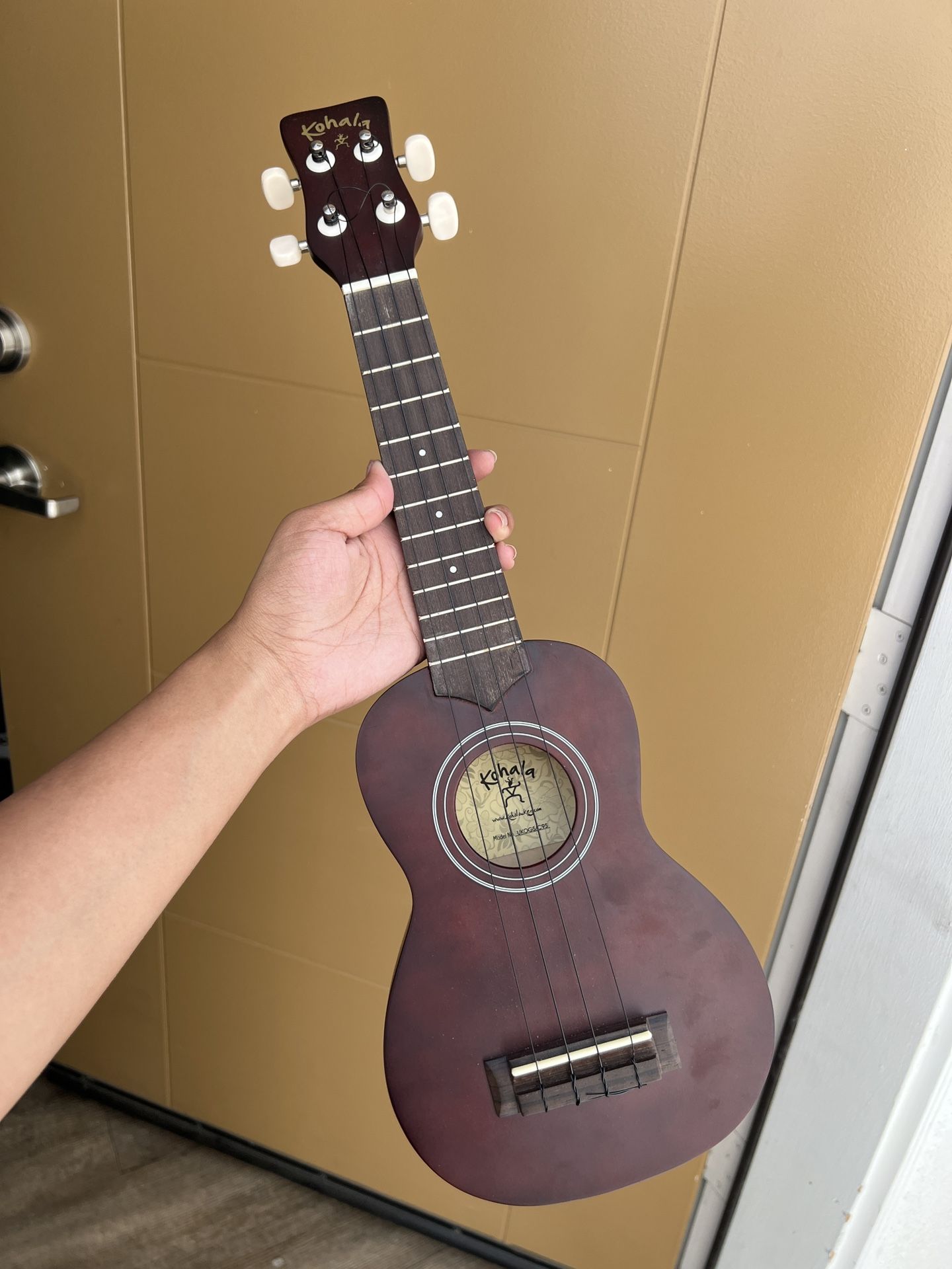 Ukulele W/Carry Case