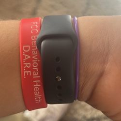 Apple Watch Series Se (newest se)