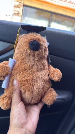 Capybara  graduation Plush
