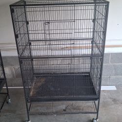 Bird CAGES