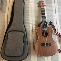 Ukulele and case