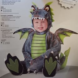 Dragon Costume 