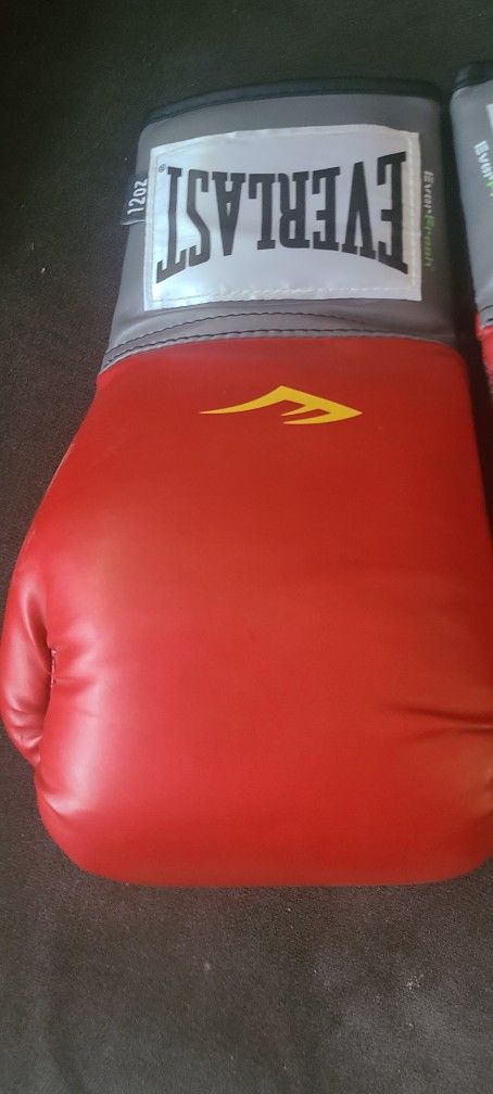 Everlast Boxing Gloves 12 OZ.