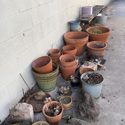 Free Clay plant pots