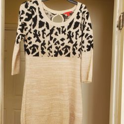 Sweater Dress