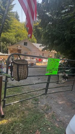 Free fire wood