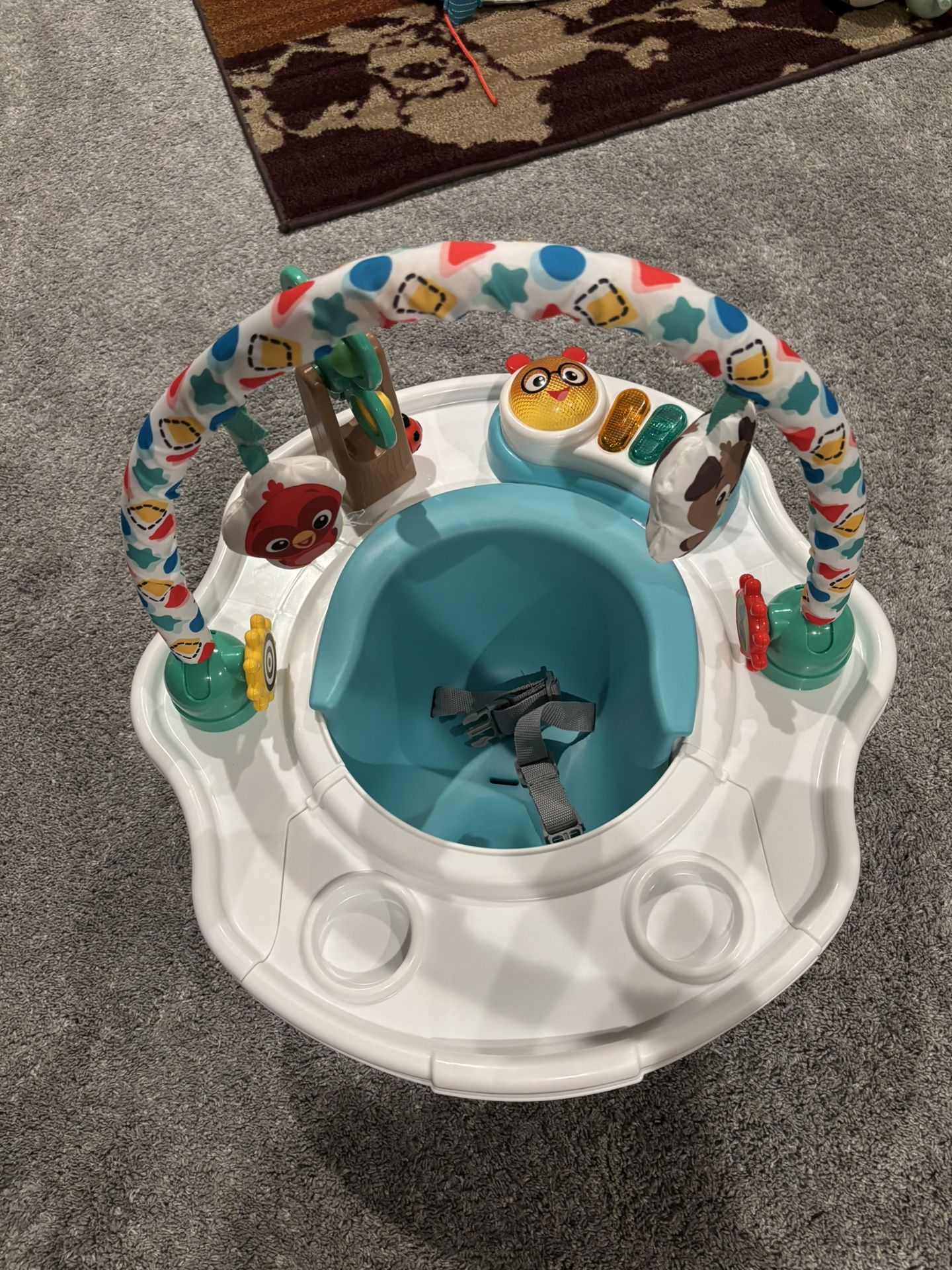 Baby Einstein Deluxe Super Infant Seat