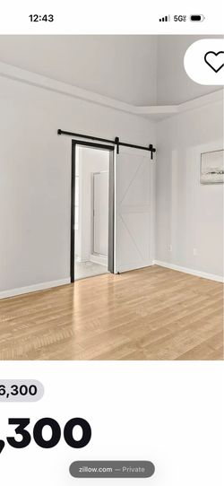 Barn Door and hardware