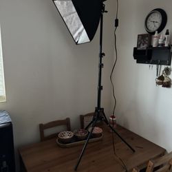 LED  2 / Bulbs with Remote, Photography Continuous Lighting Kit for Studio Lights, Portrait, Video Recording