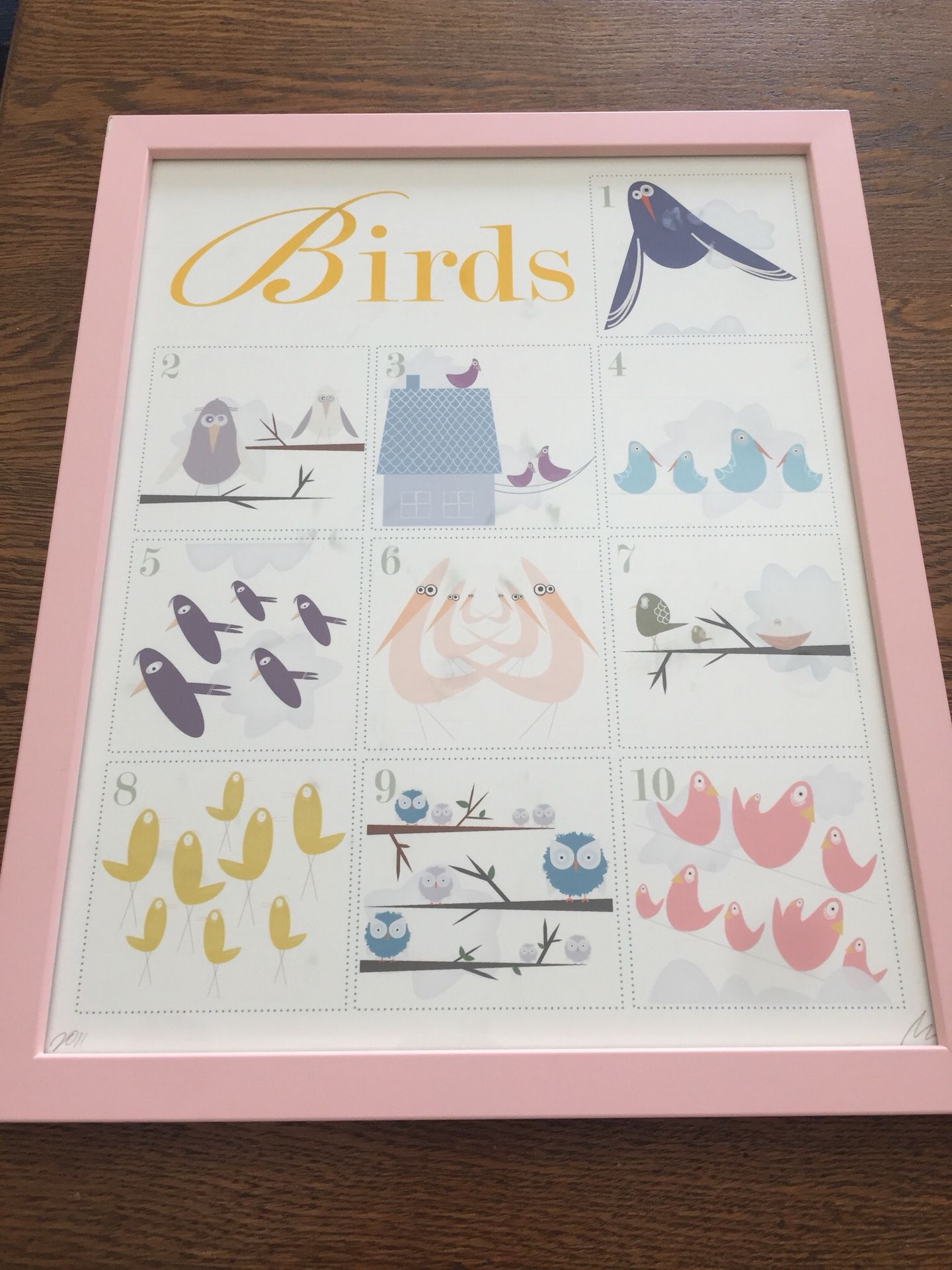 Nursery Art - Counting Birds Framed Print
