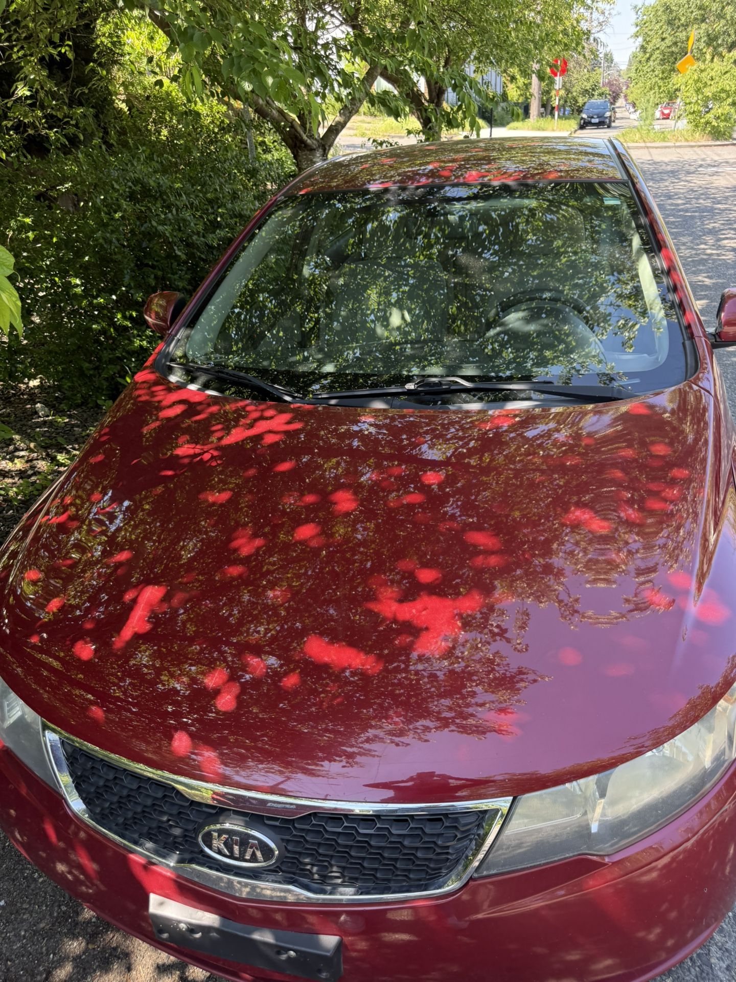 Kia Forte 2012