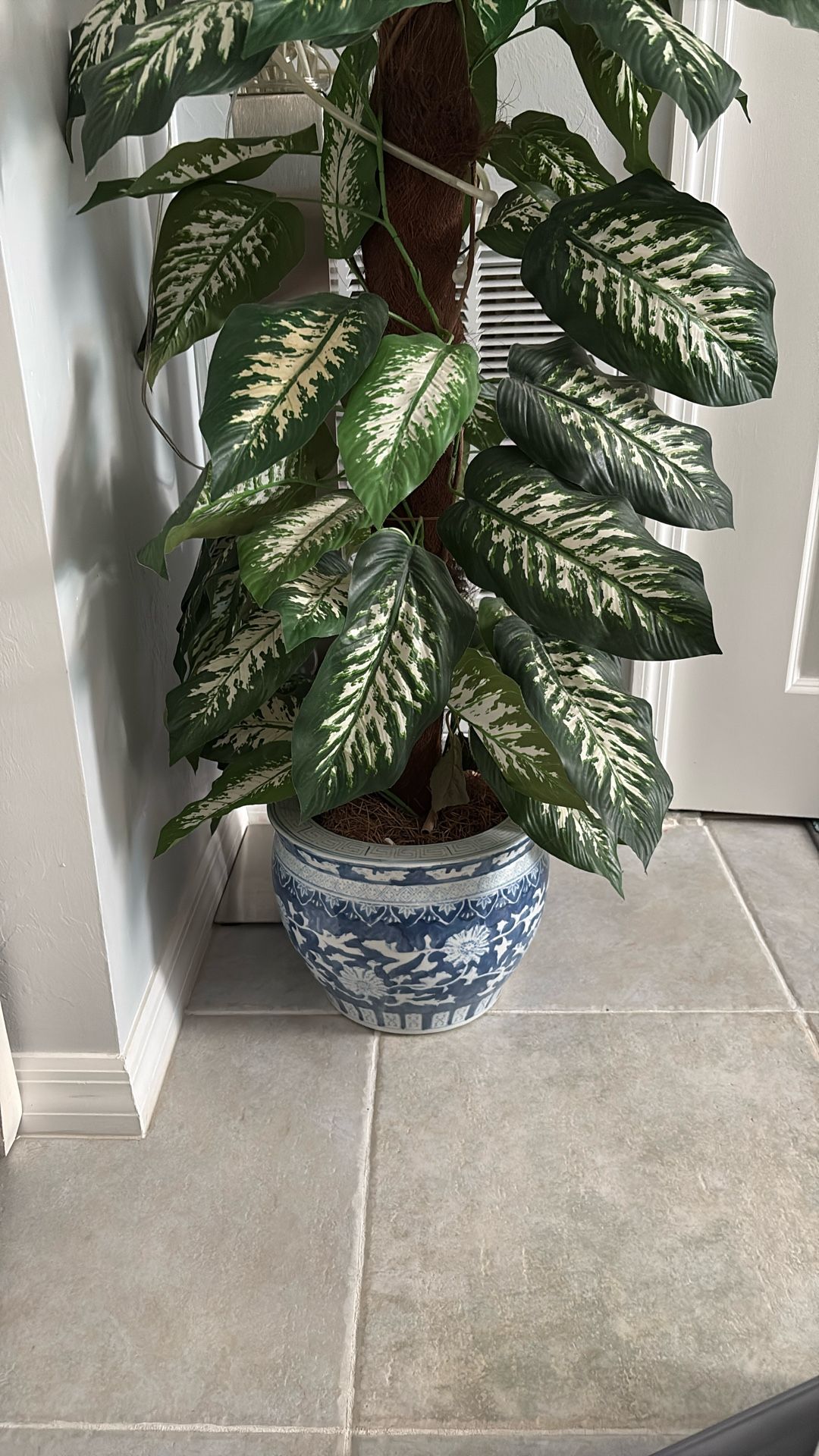 China Vase