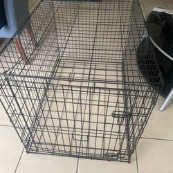 Dog Cages 3