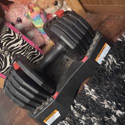 adjustable dumbbell