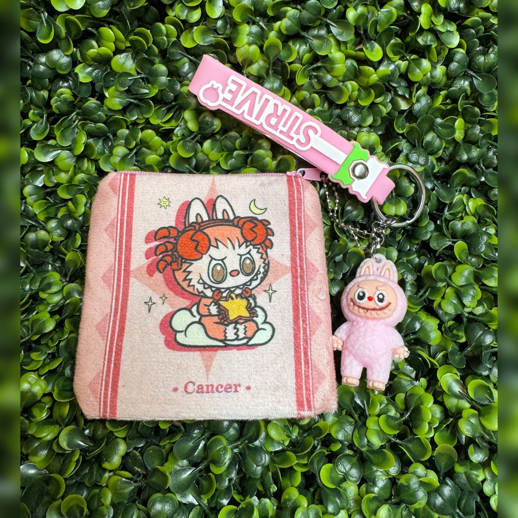 Key Chain And Coin Bag Labubu