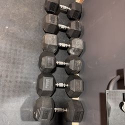 HEX Rubber Dumbbells Home Gym