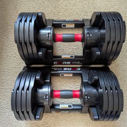 Adjustable Dumbbells for Sale in San Jose CA OfferUp