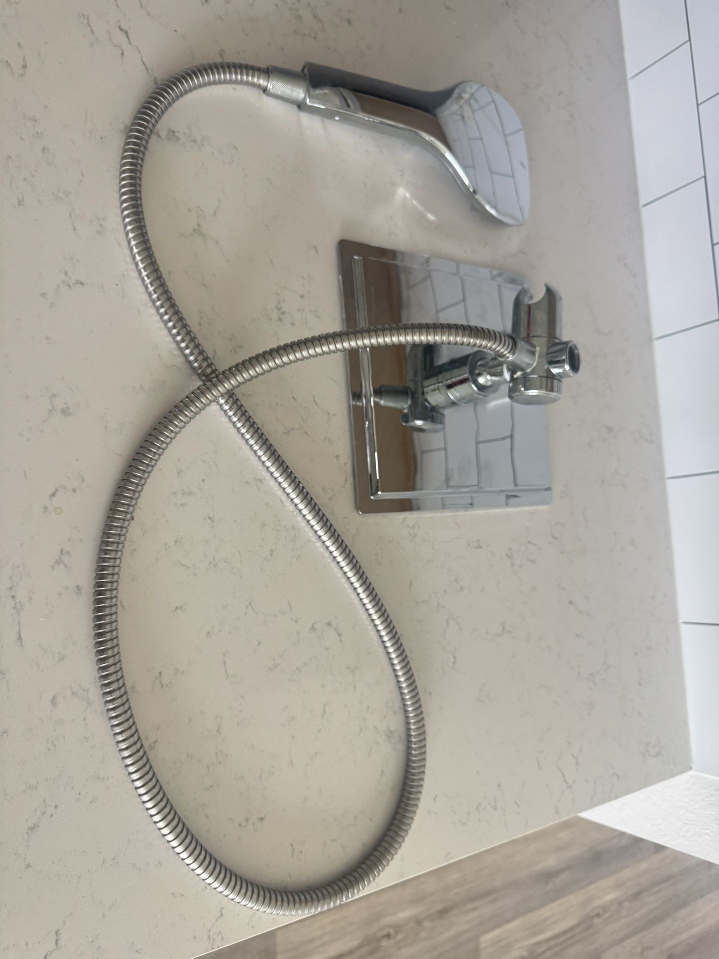 Shower Head Regadera Con Manguera