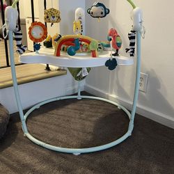 Fisher Price Bouncer 