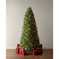 9 ft. Willow Creek Spruce LED Pre-Lit Artificial Christmas Tree