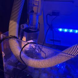 Sea Storm Protein Skimmer 