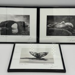 Steve Munch Photography Lot 3 Framed Gray Heart Nap Time Arch Rock Signed