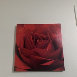 Rosé canvas Picture 