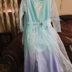 Frozen Costume 