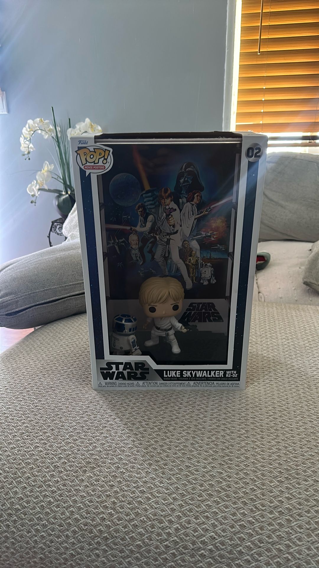 Luke With R2 D2